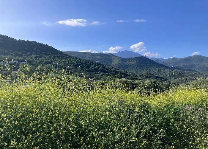 Bella Vista