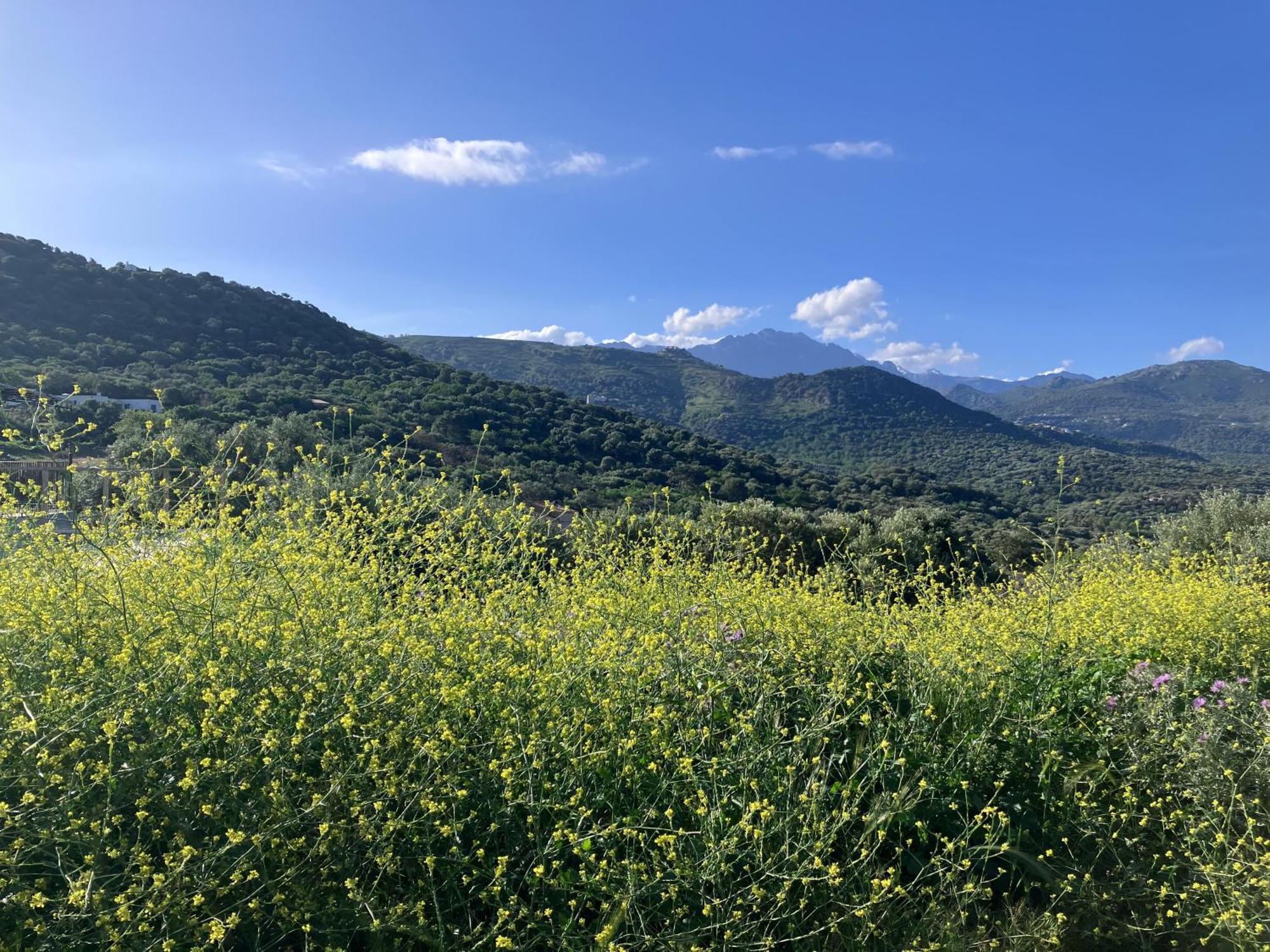 Villa Bella Vista Corbara
